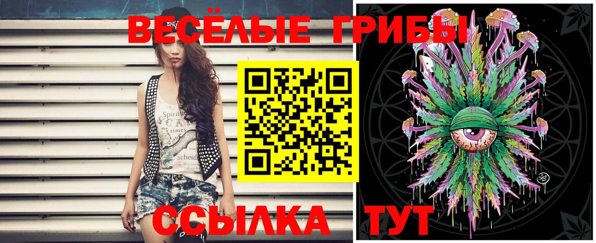 Галлюциногенные грибы мицелий Кунгур