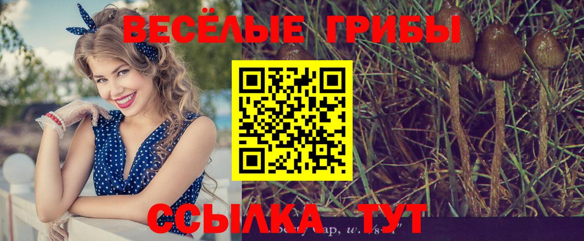 КОКАИН  Альфа ПВП СОЛЬ кристаллы  МАРИХУАНА  Мефедрон кристаллы  НБОМе  Кунгур  МАРИХУАНА  Вход с VPN  ГАШ 